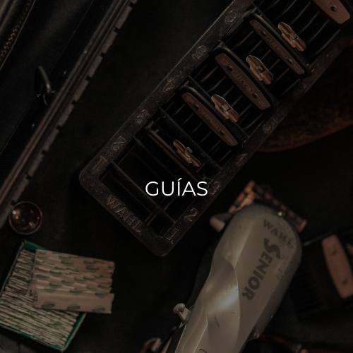 GUÍAS